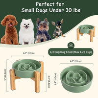 Elevated Slow Feeder Dog Bowl - Green / 1.5 Cups - image 2