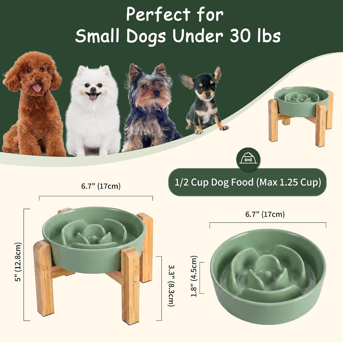 Elevated Slow Feeder Dog Bowl - Green / 1.5 Cups - image 2