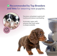 Automatic Dog & Cat Food Feeder with Water Dispenser – Smart Pet Feeder with Portion Control, OLED Display, Anti Jam Design, Battery Operated Dispenser for Small Pets - Taupe