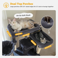 81" Heavy Duty Cat Tree for Large Cats up to 20lbs - Extra Tall Cat Tower with Metal Frame Hammock, 6 Sisal Scratching Posts, 2 Perches - Indoor Cat Furniture for Maine Coon, Dark Gray