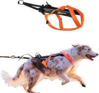 Non-stop Dogwear Freemotion 5.0 Dog Pulling Harness, Blue/Gray - 4 / Orange / Black