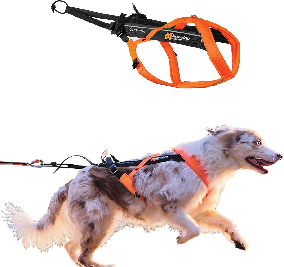 Non-stop Dogwear Freemotion 5.0 Dog Pulling Harness, Blue/Gray - 4 / Orange / Black