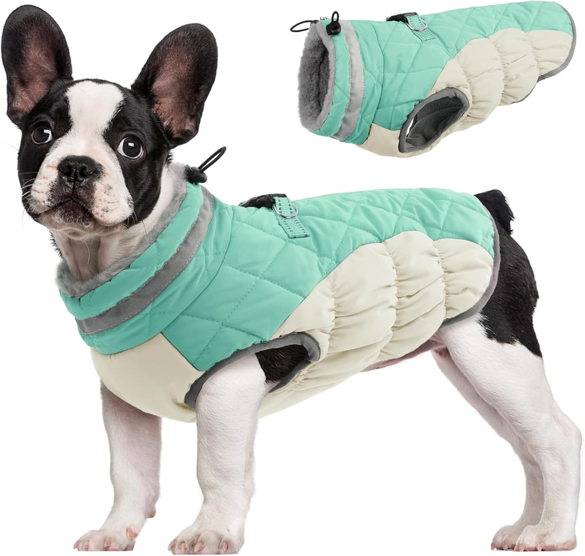 Dog Cold Weather Coats Reflective Dog Warm Jacket with Harness – Essentials for Dogs - Mint Green / S(chest:17in)