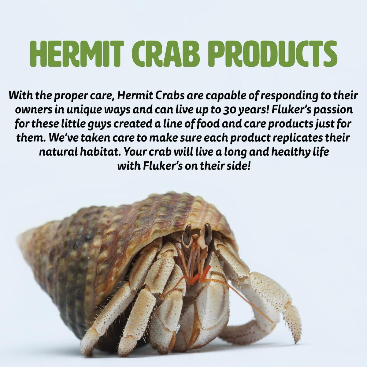Fluker's All Natural Premium Hermit Crab Sand Substrate - 12 LBS (Pack of 2) - image 3