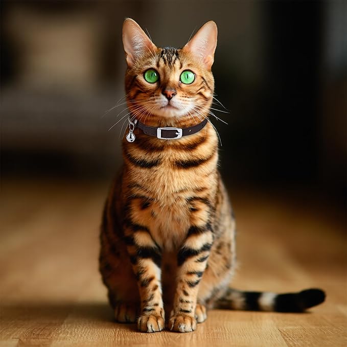 OOPSDOGGY Rolled Leather Cat Collar with Bell, Reflective Kitten Collars with Buckle Include Safety Elastic Strap - Adjustable Small Pet Collars for Boy Girl Cats (Dark Brown)