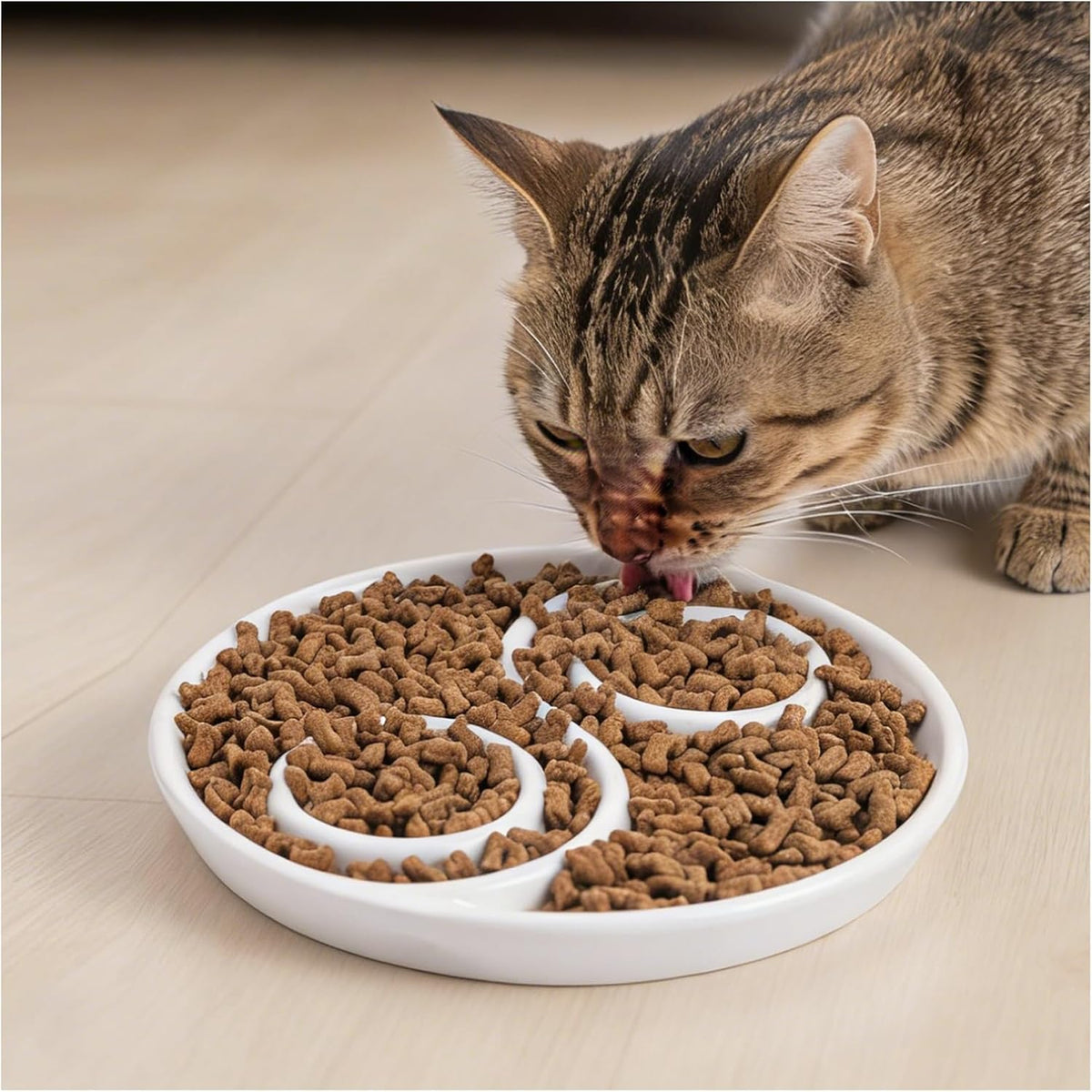 Ceramic Cat Slow Feeder,Shallow and Wide Opening Dish for Whisker Friendly – Essentials for Cats - Tai Chi Maze
