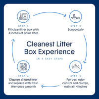 Boxie Gently Scented Cat Litter, Lightweight 30-Day Odor Control, Clumping, 6.5lb