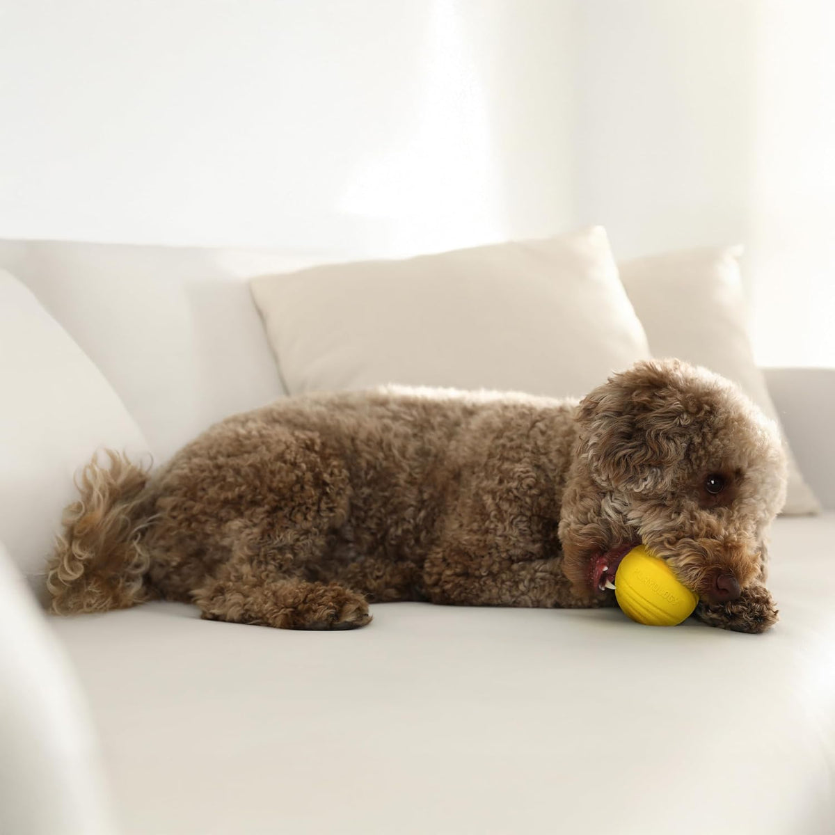 Playology Durable Large Dual Layer Dog Ball, Peanut Butter Scent - Medium / Chicken - image 3