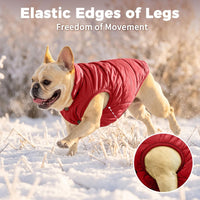 Fleece Lined Dog Jacket for Small Dogs, Winter Dog Coat - Red / Medium - image 3