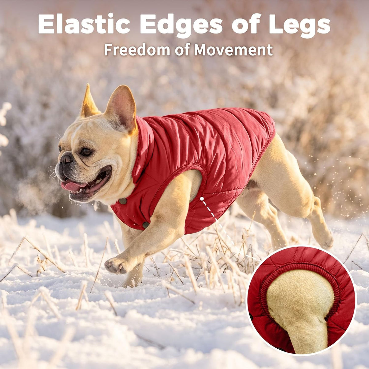 Fleece Lined Dog Jacket for Small Dogs, Winter Dog Coat - Red / Medium - image 3