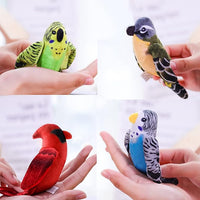 Dorakitten Cat Catnip Toys Interactive Cats 4pcs Kitten Plush Nip Chew Bird Toy with Crinkle Paper Pet Best Treats Stuffed Pillow Cute Teething Play Gifts Soft Kick Sound Supplies for Indoor Kitty
