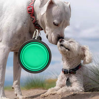 Large Collapsible Dog Bowls, Hiking, Walking - image 2