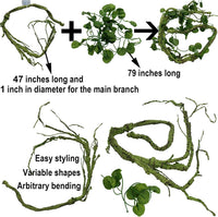 Reptile Plants for Bearded Dragon Tank Accessories - Group Bn - image 3
