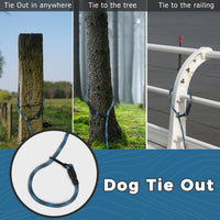 Long Dog Leash Tie-Out Check Cord - Blue / 20FT - image 2