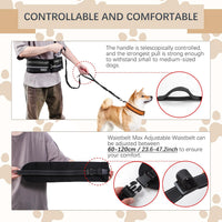 Hands-Free Dog Leash with Pouch - Black - image 3
