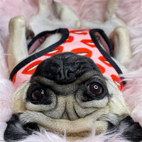 Luxury Red Lips Breathable Mesh Harness Chest Back + Traction - BIG FRENCHIES