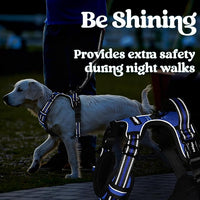 rabbitgoo Dog Harness for Large, No Pull Pet Harness with 3 Buckles, Adjustable Soft Padded Vest with Control Handle, Walking Reflective Pet Vest for Large Dogs, Blue, L