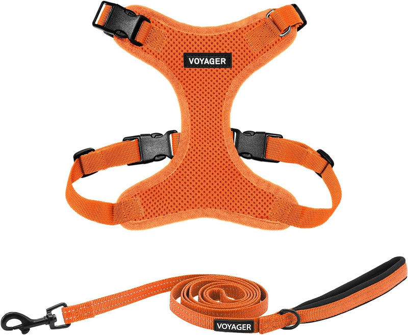 Best Pet Supplies Voyager Step-in Lock Pet Harness w Reflective Pet - Harness Leash Set (Orange) / M (Chest: 17 - 21")