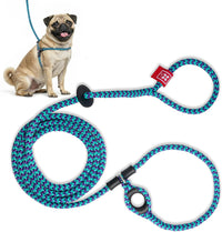 Harness Lead Escape Resistant, Reduces Pull Dog Harness - Purple/Turquoise / Small/Medium (14-40 lbs)