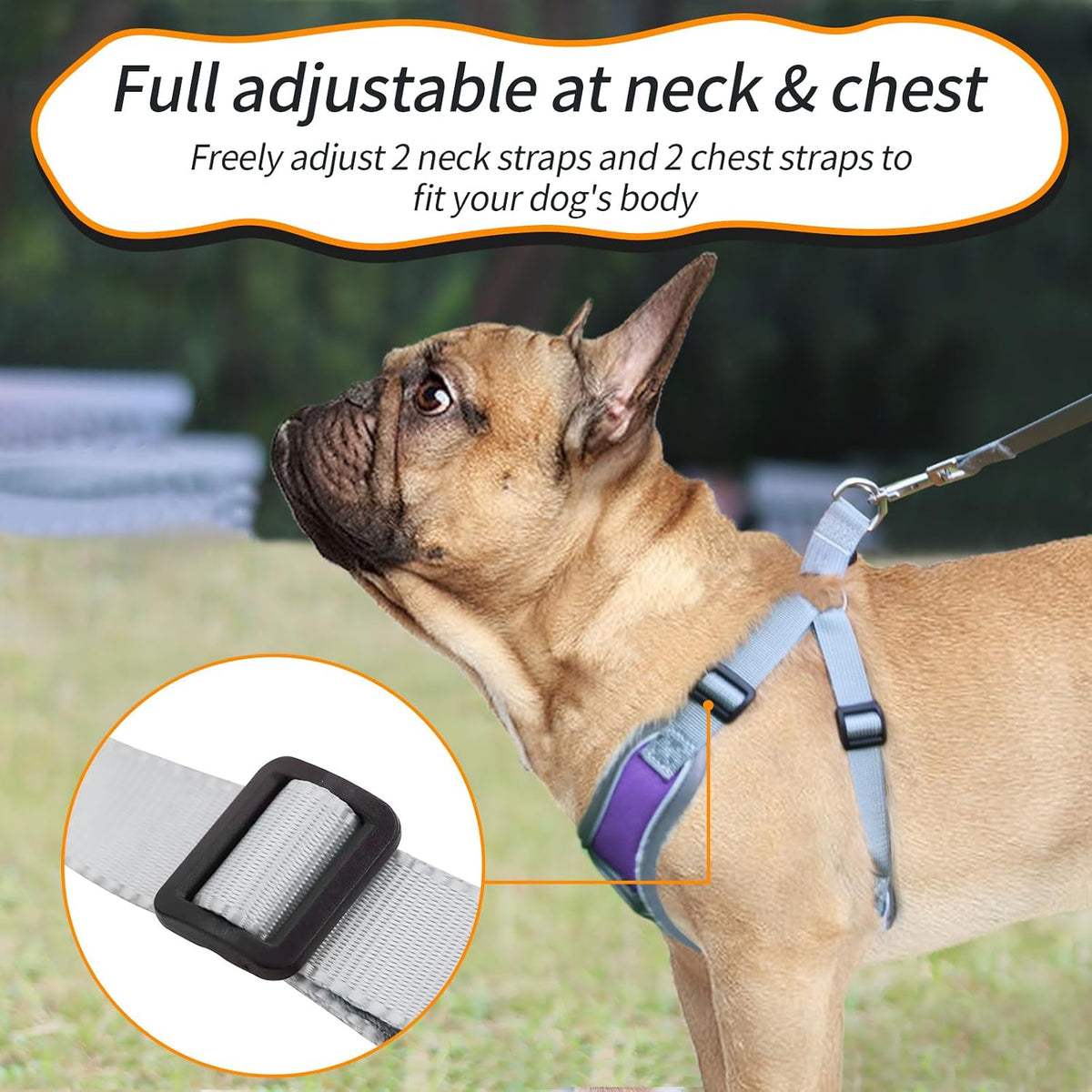 Dog Harness with Leash Set, No Pull Adjustable Step in Pet Vest – Essentials for Dogs - Purple / L - image 4