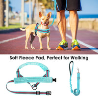 Lukovee Small Dog Harness and Leash Set, No Pull Soft Padded, XS - Light Blue - with Stripe / S ( Chest 17.5'' ~ 22'') - image 3