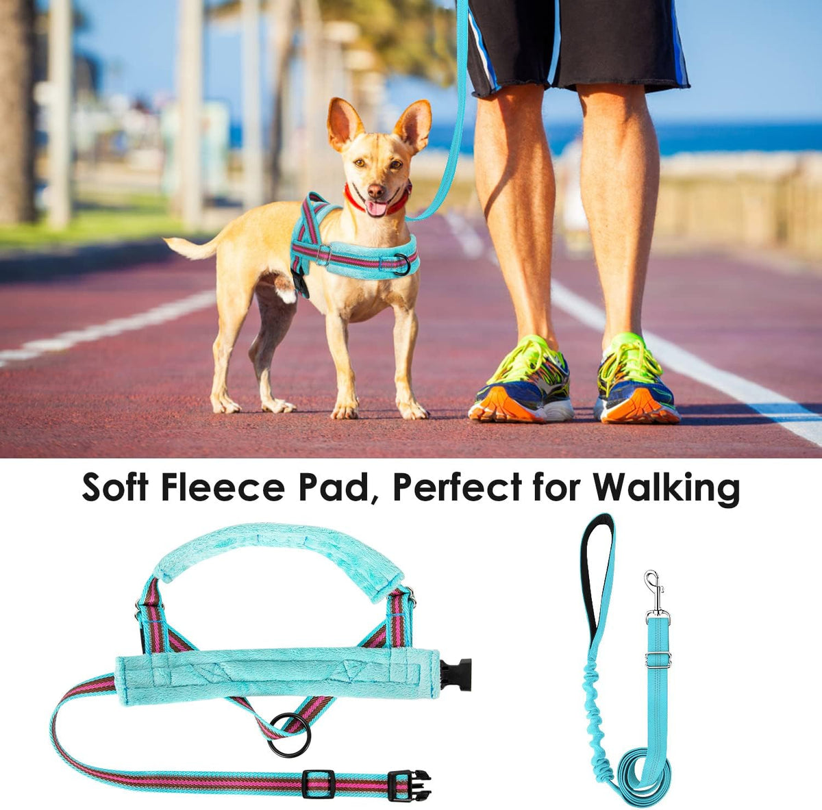 Lukovee Small Dog Harness and Leash Set, No Pull Soft Padded, XS - Light Blue - with Stripe / S ( Chest 17.5'' ~ 22'') - image 3