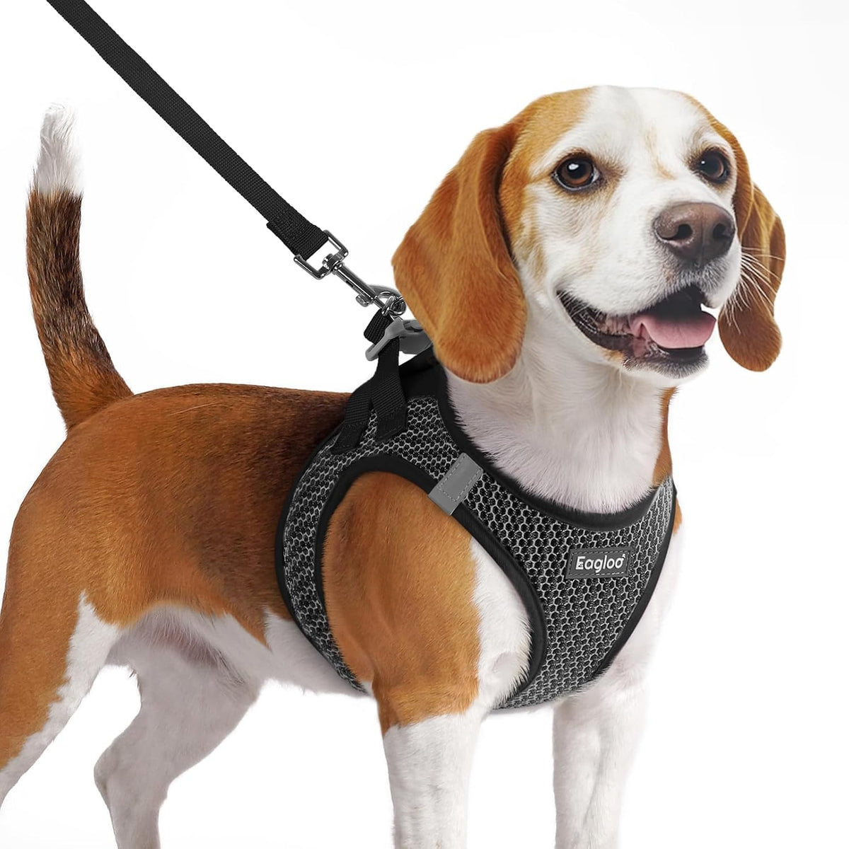Eagloo Small Dog Harness and Leash Set - M(Chest:16.0"-18.5") / Gray