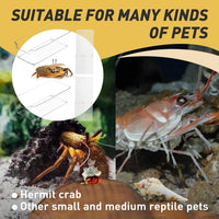 2 Packs Hermit Crab Pool, Ideal Hermit Crab Tank Combination - Large*2 - image 4