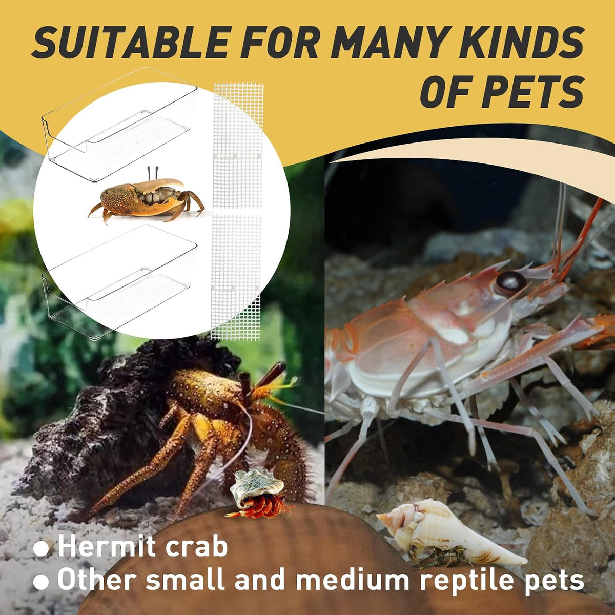 2 Packs Hermit Crab Pool, Ideal Hermit Crab Tank Combination - Large*2 - image 4
