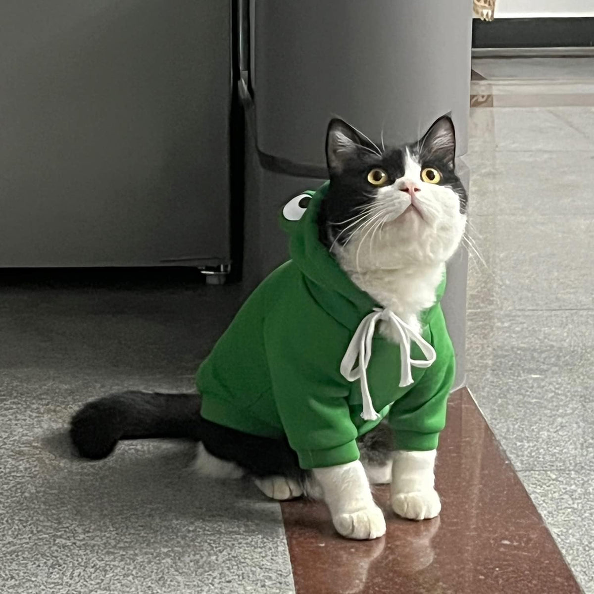 Dog Hoodie Basic Sweater Coat Cute - Green Frog / Medium - image 2