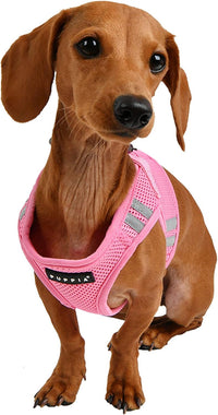 Puppia Soft Vest Harness Pro, XL - Medium / pink - image 4