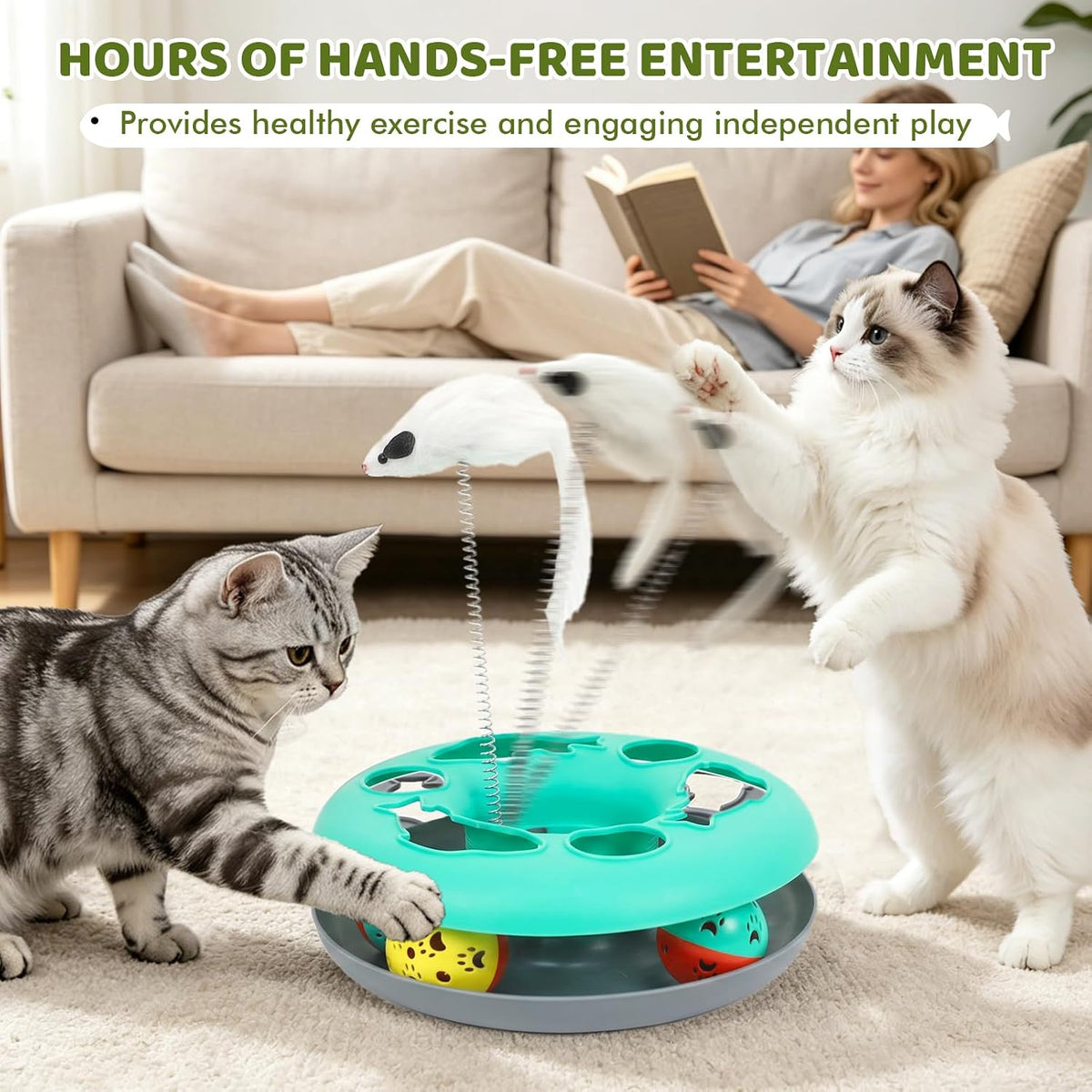 Cat Tunnels for Indoor Cats - Green - image 4