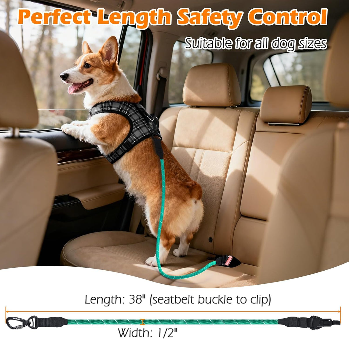 Dog Seat Belt for Car, Durable Rope Dog Car Harness for Vehicle – Essentials for Dogs - Turquoise / 1 Pack - image 4