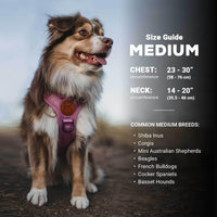 Wilderdog Lightweight Dog Harness with Reflective Straps - Huckleberry / Medium - image 3