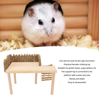 Diydeg Hamster Wooden, 2 Layer Small Hamster Stand Playground with Ladder, Hamster Climbing Toy Cage Accessories for Squirrel Gerbil Chinchilla Parrot Bird Small Animals