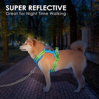 PHOEPET No Pull Dog Harness, Unique Colors Reflective Adjustable Dog Vest, with Soft Training Handle Metal Clips for Small Medium Large Dogs (Blue Base & Green Straps,S)