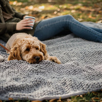 Muddy Mat Dog Blanket - Chenille Water Absorption Blanket for Bed & Couch Cover for Dogs Washable - Grey / 40" x 50" - image 4