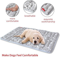 Dog Crate Mat (24" X 18"), Soft Dog Bed Mat with Cute Prints, Personalized Crate Pad, Anti-Slip Bottom, Machine Washable Kennel Pad