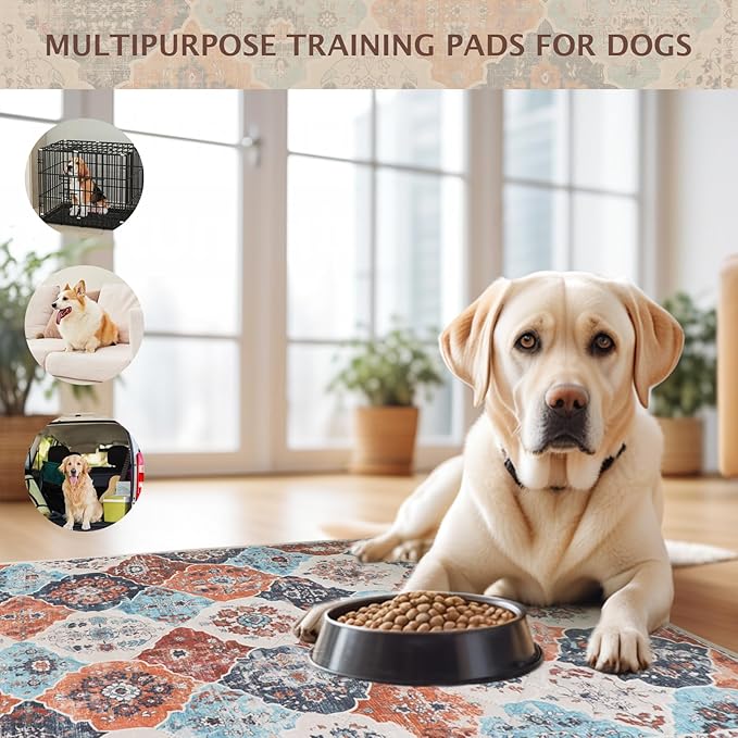 IEUUMLER Washable Pee Pads for Dogs, 1 Pack Reusable Non-Slip Grip, Super Absorbent Waterproof Puppy Pads for Potty Training, Playpen, Crate, Whelping Box EU011 (Orange, 48" x 48")