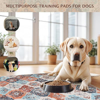 IEUUMLER Washable Pee Pads for Dogs, 2 Pack Reusable Non-Slip Grip, Super Absorbent Waterproof Puppy Pads for Potty Training, Playpen, Crate, Whelping Box EU011 (Orange, 24" x 18")