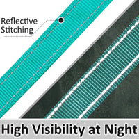 3 Handle Dog Leash 10FT Triple Handle Reflective Large Medium Dogs – Essentials for Dogs - Turquoise - image 4