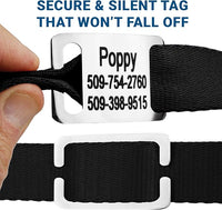 GoTags Personalized Dog Collar with Nameplate, Adjustable Dog Collar with Custom Engraved Slide On Pet ID Tag in Stainless Steel, Silent, No Noise Dog Tag (Beige, Large)