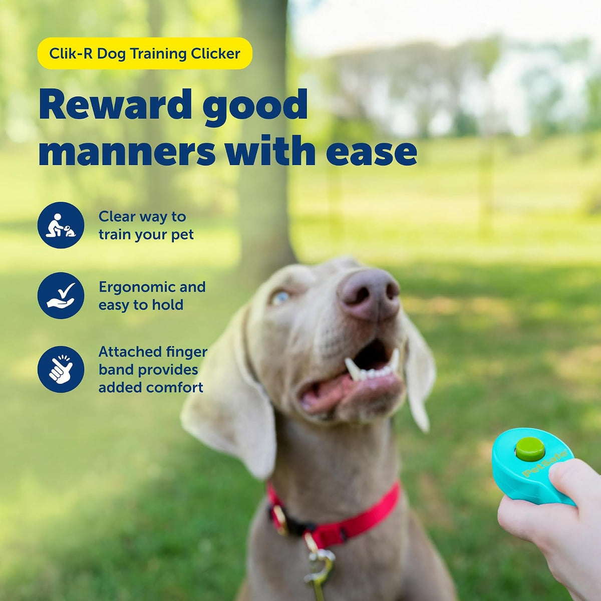 PetSafe Clik-R Dog Training Clicker - Blue - image 2