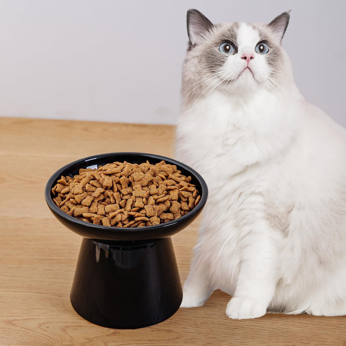 Ceramic Elevated Cat Food Bowls, 6.2" Wide - Black / 4 Pack - image 3