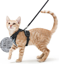rabbitgoo Cat Harness and Leash Set, Escape Proof Vest - S / Doodle Gray