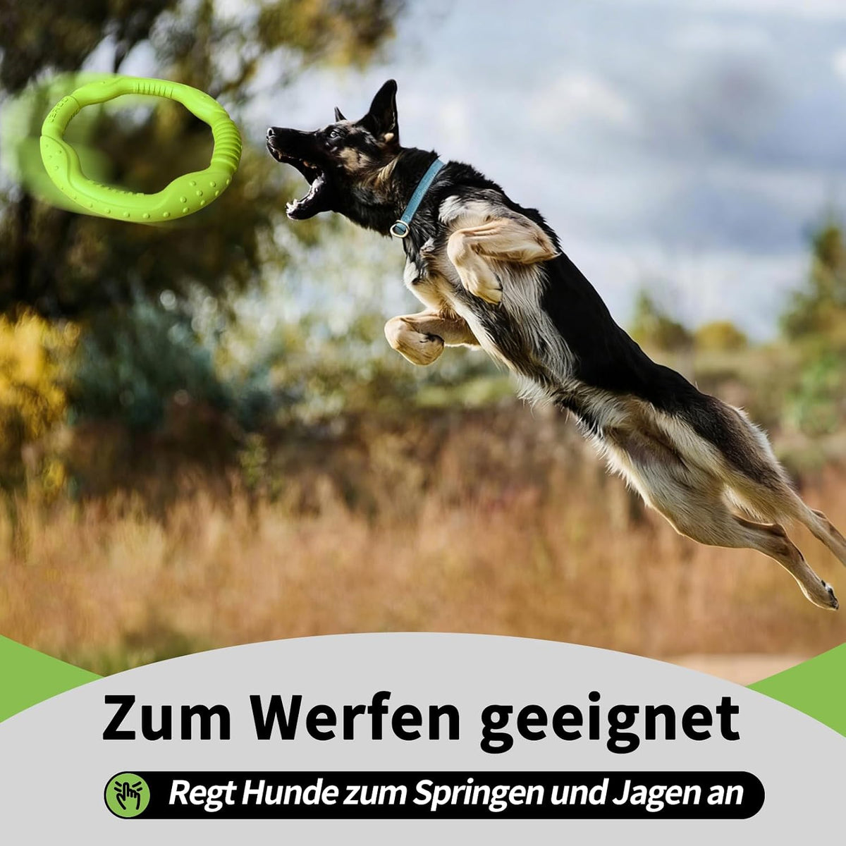 LaRoo Dog Flying Ring Toys, Floating Flying Disc Toys - Green-S - image 3