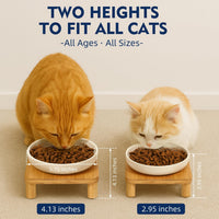 Raised Cat Bowl, Elevated Cat Bowls with Bamboo Stand, Set of 2 – Essentials for Cats - Square Stand with Ceramic Bowls - image 3