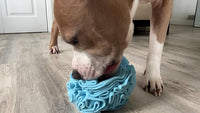 Medium Breed Snuffle Interactive Foraging Dog Puzzle Ball Toy Blue Large