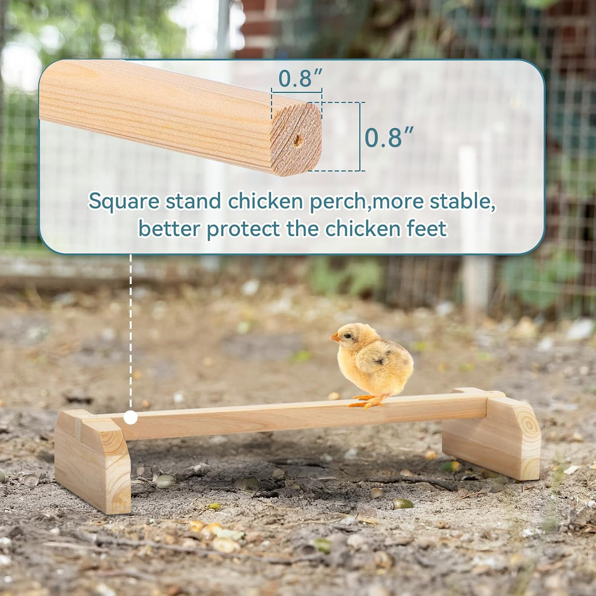 PETSFIT Baby Chick Roosting Bar, Anti-Rotation, Solid Wood - 15.6"L×5.7"W×2.6"H / Wood - image 2