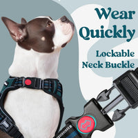 rabbitgoo Dog Harness for Large - Blue Coral / X-large - image 2
